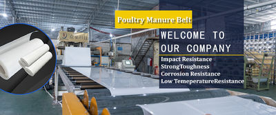 kwaliteit De riem van de gevogeltemest fabriek