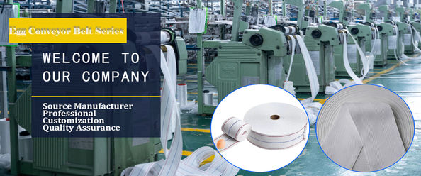 Qualität Geflügeldüngemittelgurt usine