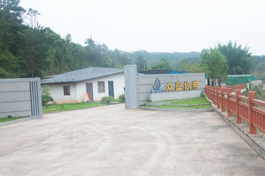 Guangzhou Zhongshen Ribbon Product Co., Ltd.