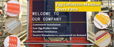 جودة حزام روث الدواجن مصنع