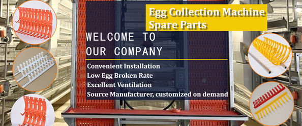 quality Poultry Manure Belt factory