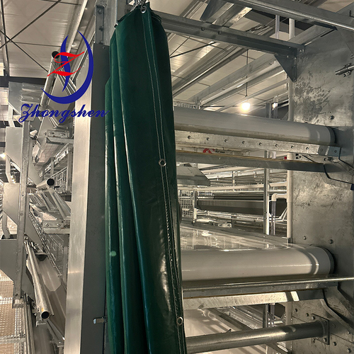 Latest company blogs about The Best Way For Poultry Chicken Farms To Dispose Of Chicken Manure-Manure Conveyor Belt