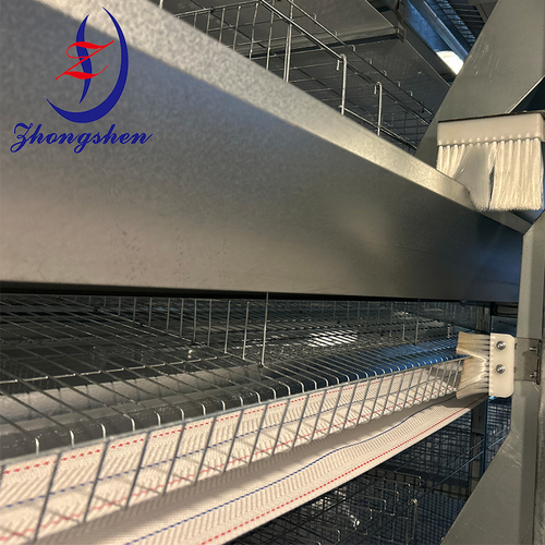Latest company blogs about Guide to Daily Use and Maintenance of Egg Collection Belt Systems in Poultry Farms