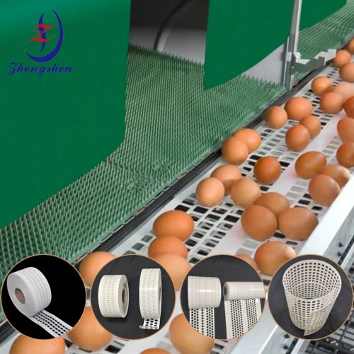 Derniers blogs de l'entreprise sur What is the Best Egg Collection Belt for Poultry Farm Breeder Chicken? Perforated Egg Belts