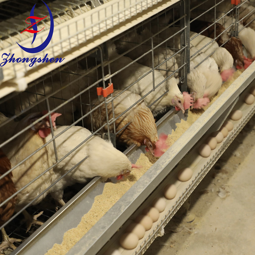 Berita perusahaan terbaru tentang The Complete Guide to Egg Belts: Installation, Maintenance & Best Practices