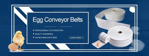 أحدث مدونات الشركة حول Zhongshen Egg Belts: The Best Choice for Poultry Layer Farms - Here's Why