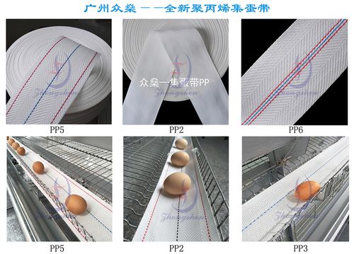 أحدث مدونات الشركة حول The Complete Guide to Egg Collection Belts: Essential Equipment for Modern Poultry Farms