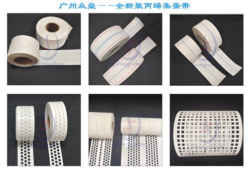 أحدث مدونات الشركة حول Perforated Egg Beltsvs. Woven Egg Belts: Which Type Delivers Better Results?