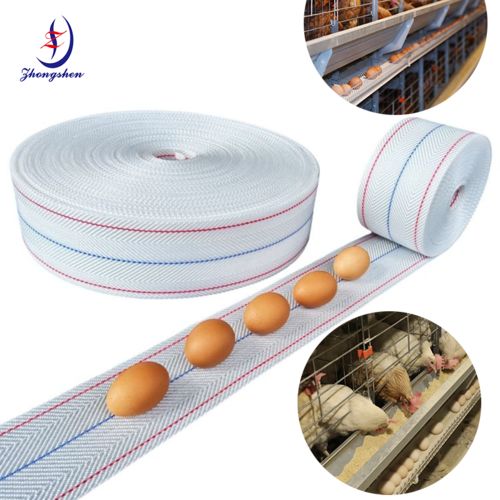 ข่าวล่าสุดของบริษัทเกี่ยวกับ คู่มือการจัดหาเข็มขัดไข่จากผู้ผลิตและผู้ส่งออกชั้นนํา