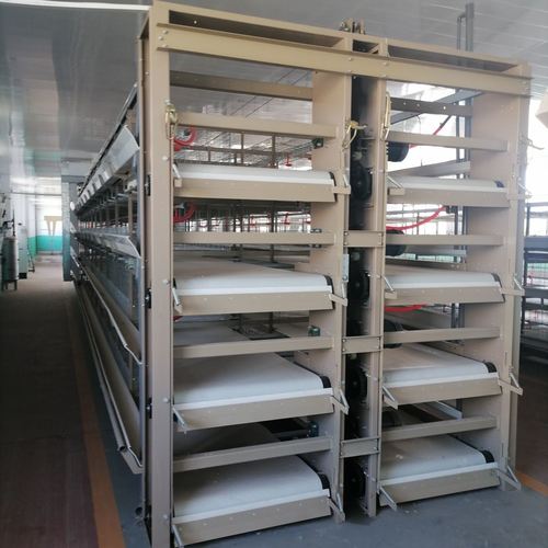 Blog công ty mới nhất về Băng tải phân PP so với PVC: Vật liệu nào bền hơn?