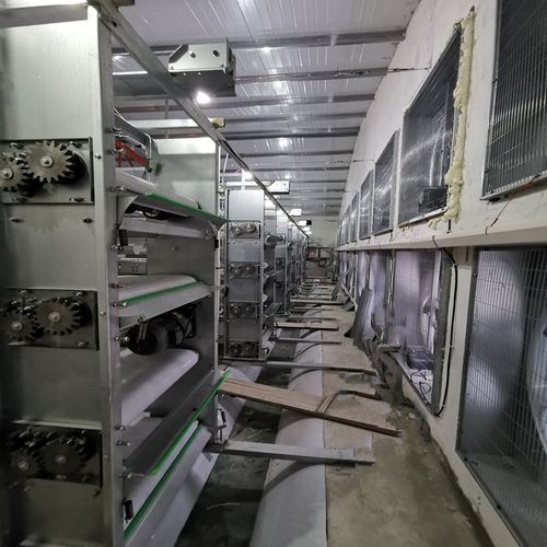 Blog công ty mới nhất về 5 Questions to Ask Your Manure Belt Supplier (Buyer's Guide)