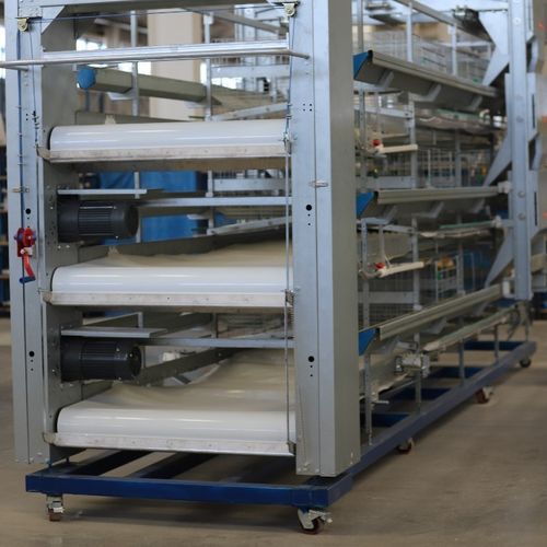 에 대한 최신 회사 뉴스 PP 분뇨 벨트: 폴리프로필렌이 최적의 선택인 이유