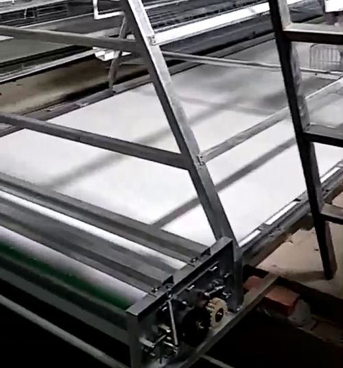 에 대한 최신 회사 뉴스 가금 분뇨 벨트의 5가지 주요 장점