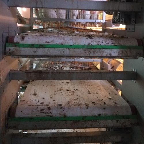 Latest company blogs about The Role of the Manure Scraper Blade in Poultry Farm Manure Removal Belt System Efficiency