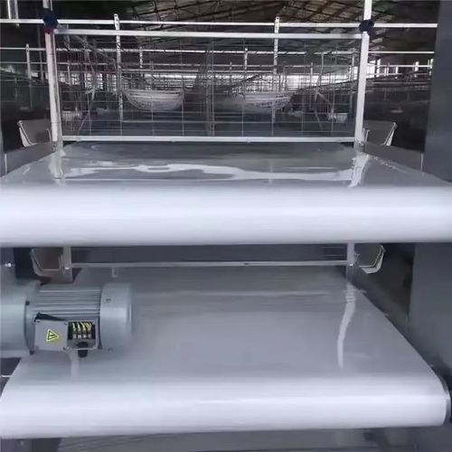 Latest company blogs about The 2025 Ultimate Procurement Guide for Poultry Manure Belts