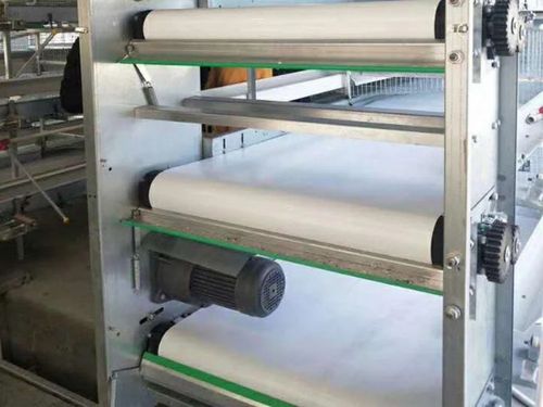 Latest company blogs about Choosing the Best Poultry Manure Belt: A 5-Step Guide