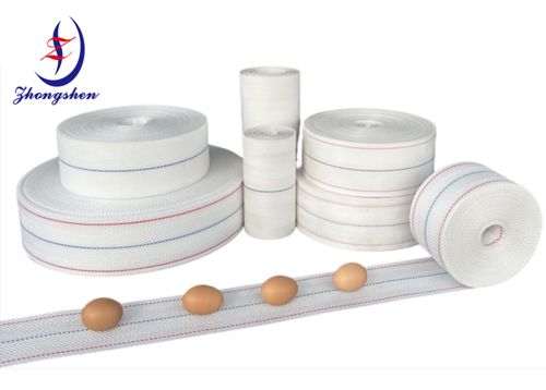 Latest company news about What is an Egg Belts?