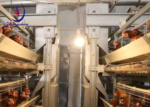 Latest company news about What is the Layer Chicken Cage Automatic Feeding Vehicle Wheel For Poultry Farm?