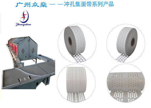 Latest company news about What is a Perforated Egg Collection Belt?