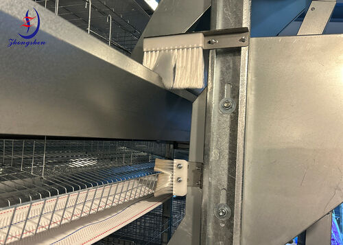 Latest company news about What isThe Poultry Farm Chicken Cage Netting Cleaning Brush?