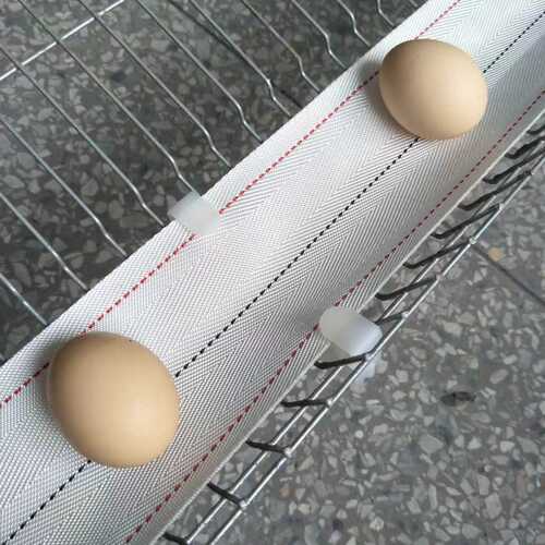 最新の企業ブログについて 卵ベルトの破れの原因トップ3（と、その予防策）