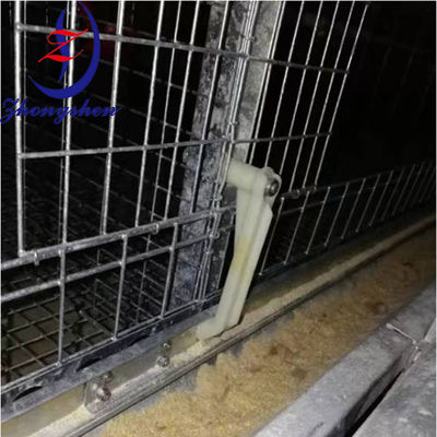 Dobra cena. Ramię regulacyjne do karmienia kurczaków w klatce dla kurcząt w Internecie