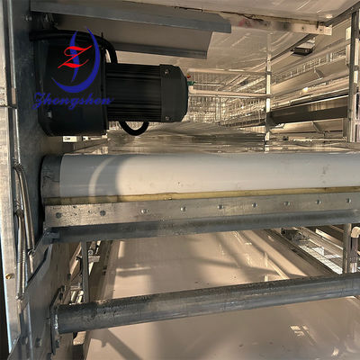 İyi bir fiyat. Tavuk Kümesi İçin Kümes Gübresi Bandı Otomatik Gübre Temizleme Bandı çevrimiçi