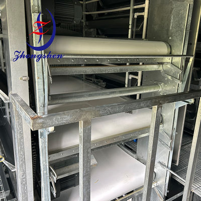 Bom preço Vendas directas de fábrica Cintura transportadora de esterco de PP Cintura de transferência de esterco de aves de capoeira on-line