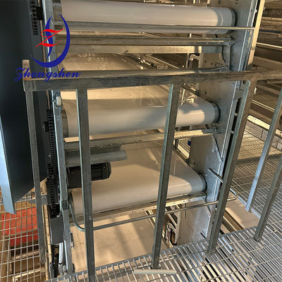 Good price PP Chicken Manure Belt Poultry Farm Automatic Manure Removal Manure Tape online