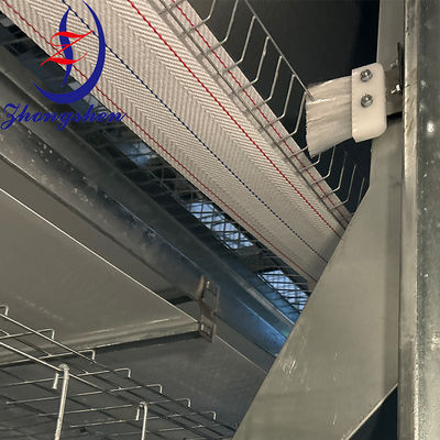 Buon prezzo Cintura di raccolta di uova ad alta resistenza Zhongshen per sistemi a gabbia a strati in linea