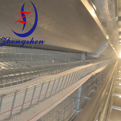 Harga yang bagus PP Eggs Conveyor Belt untuk peternakan unggas 95mm Lebar Runtuh Rendah on line