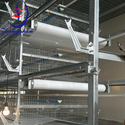 Good price Zhongshen Poultry Manure Conveyor Belt – Poultry Manure Cleaning System online