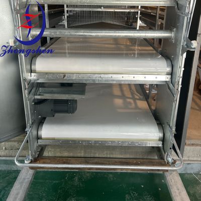 Goede prijs Vervoerband voor pluimveemest 0,5 M-2,5 M Breedte PP/PE-materiaal online