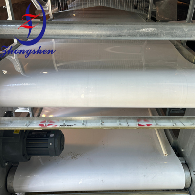 Buen precio Fabricante de origen: Zhongshen, Cinta de limpieza de estiércol de aves, Cinta de eliminación de estiércol en línea