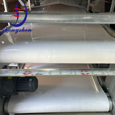 Giá tốt. Nguồn gốc Nhà sản xuất Vành đai làm sạch phân gia súc gia cầm Zhongshen Vành đai loại bỏ phân trực tuyến