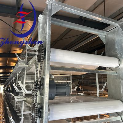 Giá tốt. Băng tải phân chuồng Zhongshen PP – Nhà sản xuất băng tải phân chuồng gia cầm hàng đầu Trung Quốc trực tuyến