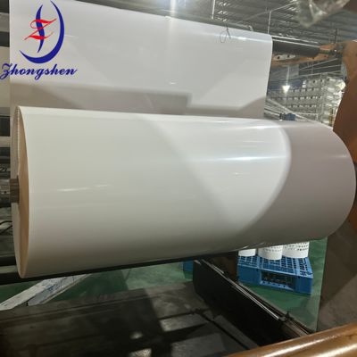 İyi bir fiyat. Zhongshen Premium PP/PE gübre kemeri    Poultry Farm Gübre Kaldırma Kemeri Tedarikçisi çevrimiçi