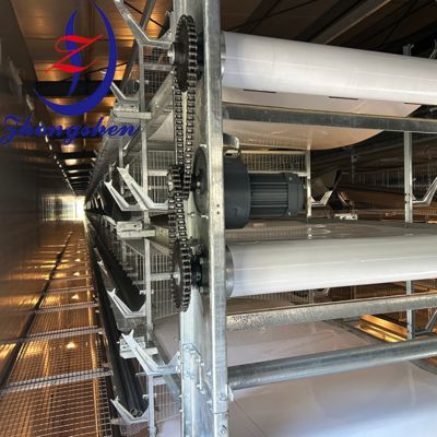 İyi bir fiyat. Zhongshen PP/PE gübre taşıyıcı kemeri   China Best Poultry Manure Belt Manufacturer çevrimiçi