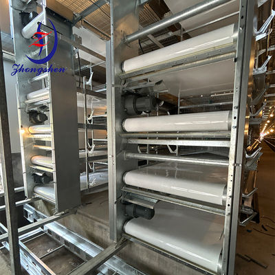 Giá tốt. Băng tải phân chuồng PP/PE cao cấp Zhongshen cho trang trại gia cầm trực tuyến