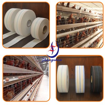 Buon prezzo Zhongshen PP5 Polypropylene Egg Collection Belt for Modern Layer Farm in linea