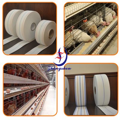 Good price Zhongshen PP Egg Conveyor Belt -Poultry Layer Farm Design online