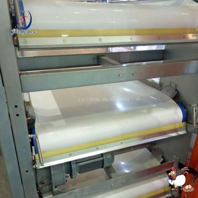 Harga yang bagus Sabuk Konveyor Kotoran Ayam Broiler/Kandang Ayam Petelur PP on line