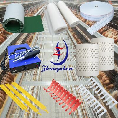 Giá tốt. Dây phân polypropylene Zhong Shen cho gia cầm với chiều dài tùy chỉnh và tỷ lệ vỡ trứng thấp cho trang trại gà trực tuyến