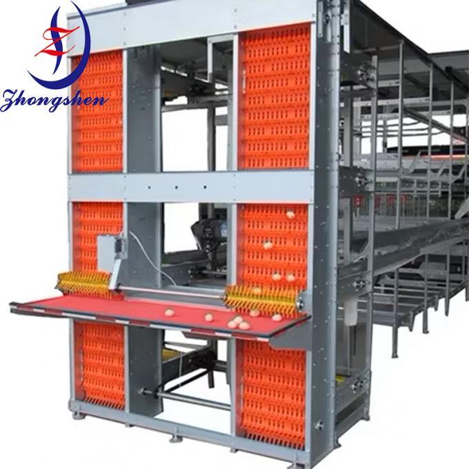 Decelerator Machine What is poultry farm automation egg collection machine spare parts egg ...