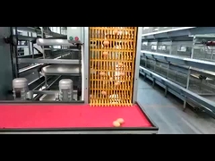 U型卵収集システム