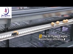 Sistema de recogida automática de huevos de las granjas avícolas