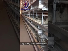 Poultry Farm Battery Chicken Cage Cleanging Tools