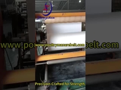 精密な家禽糞便帯: 持続的な解決策で家畜衛生を向上させる