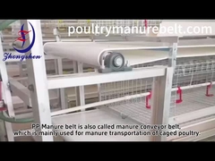 効率的な肥料帯システム 自動化家畜農場清掃ソリューション