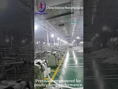 高品質の卵コンベアベルト工場 持続可能な生産